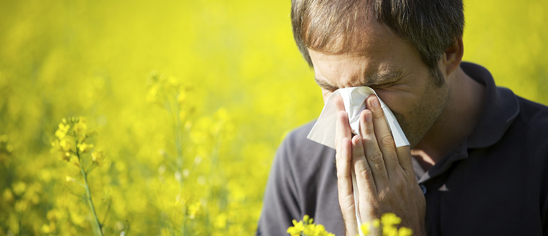 Hooikoorst,-allergie-en-pollen